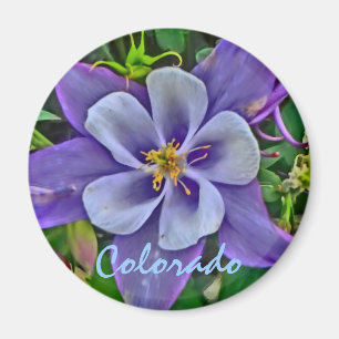 Colorado columbine magnet