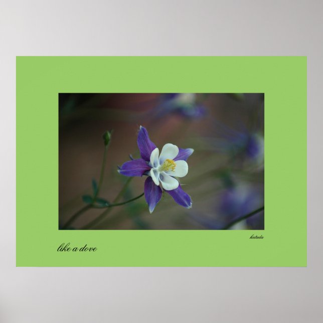 Colorado Columbine print (Front)