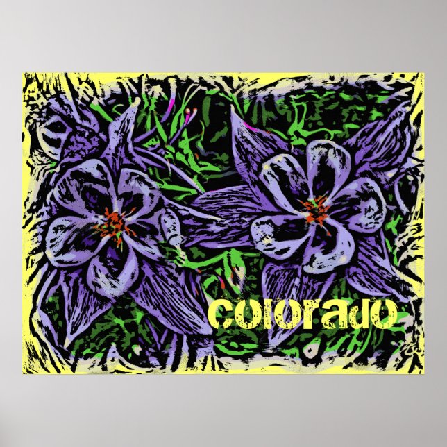 Colorado columbines poster (Front)