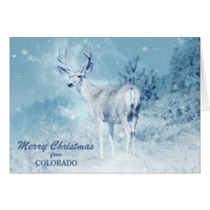 Colorado Deer in Snow Christmas Card