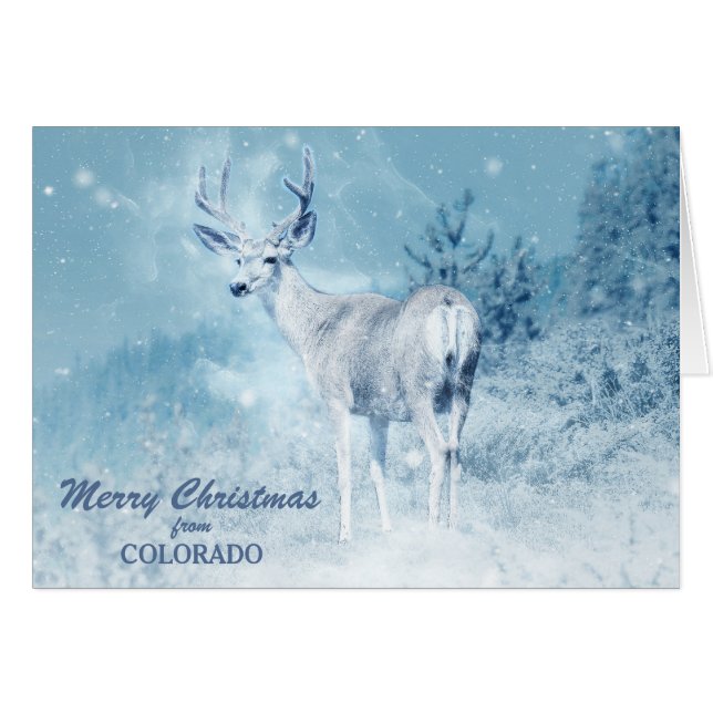 Colorado Deer in Snow Christmas Card (Front Horizontal)