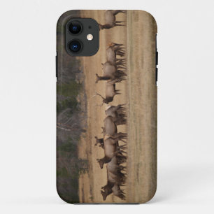 Colorado Elk  iPhone 5 iPhone 11 Case