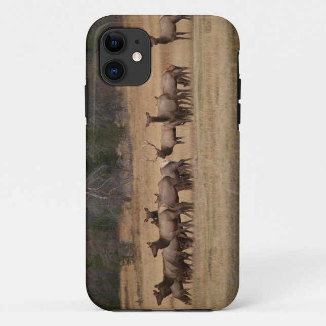 Colorado Elk  iPhone 5 Case-Mate iPhone Case (Back)