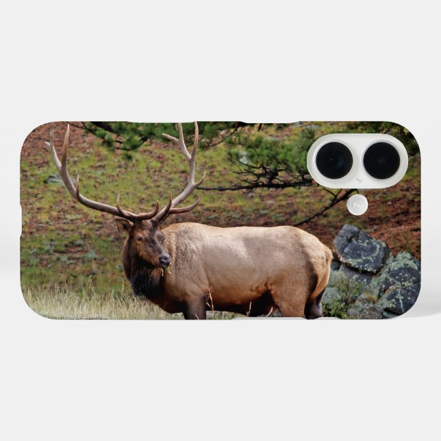 Colorado Elk Phone Case (Back (Horizontal))