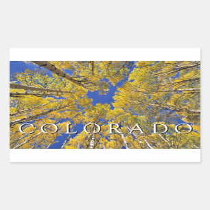 Colorado Fall   Aspen Forest in Autumn Rectangular Sticker