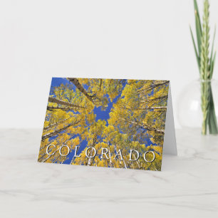 Colorado Fall Aspen Forest in Autumn Thank You Card