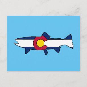 Colorado flag trout fish postcard