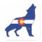 Colorado Flag Wolf