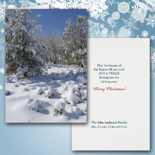 Colorado Forest Beauty Christmas Card