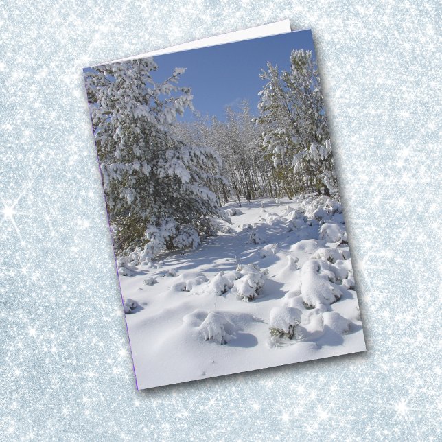 Colorado Forest Beauty Christmas Card (Creator Uploaded)