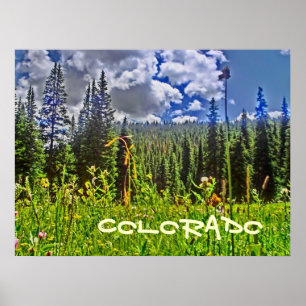 Colorado forrest scenic poster