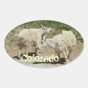 Colorado goat sticker