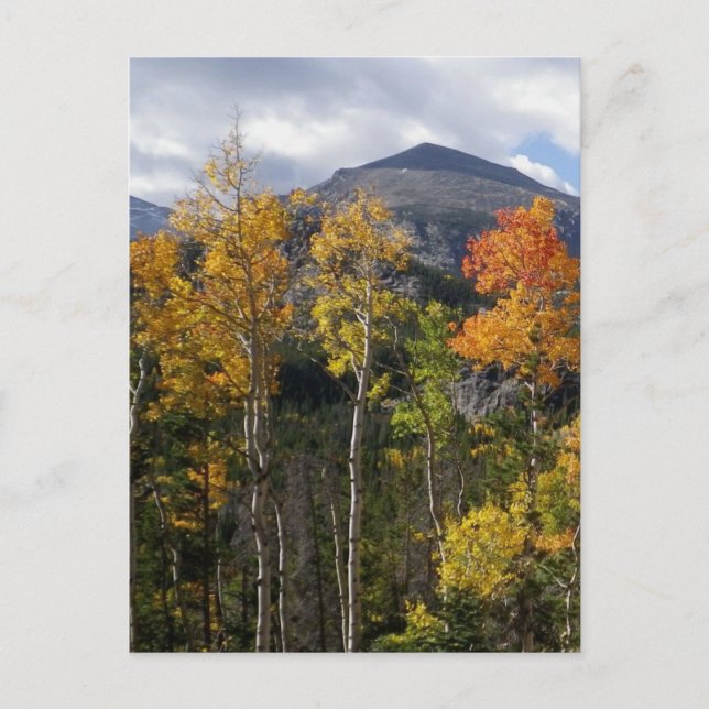 Colorado Inspirational Postcard (Front)