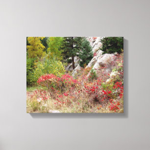 Colorado Landscape Series Canvas Print