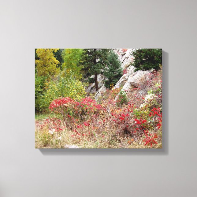 Colorado Landscape Series Canvas Print (Front)