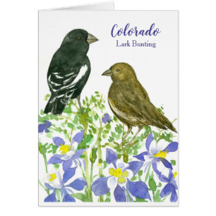Colorado Lark Bunting State Birds