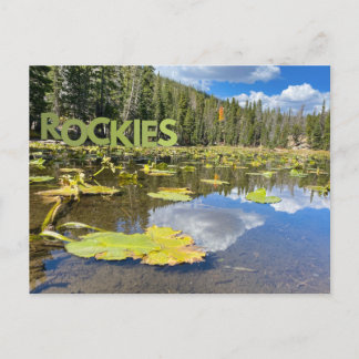 Colorado Lily Pad Rocky Mountains Lake Postcard