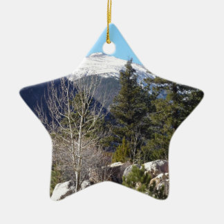 Colorado mountain ceramic tree decoration