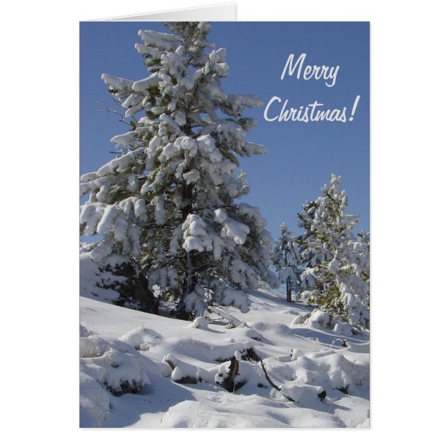 Colorado Mountain Snow Christmas Card (Front)