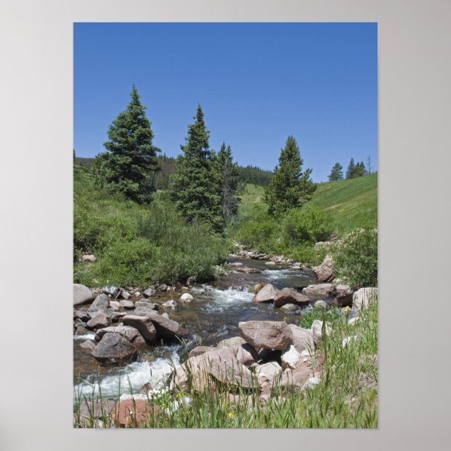 Colorado Mountain Stream Poster (Front)