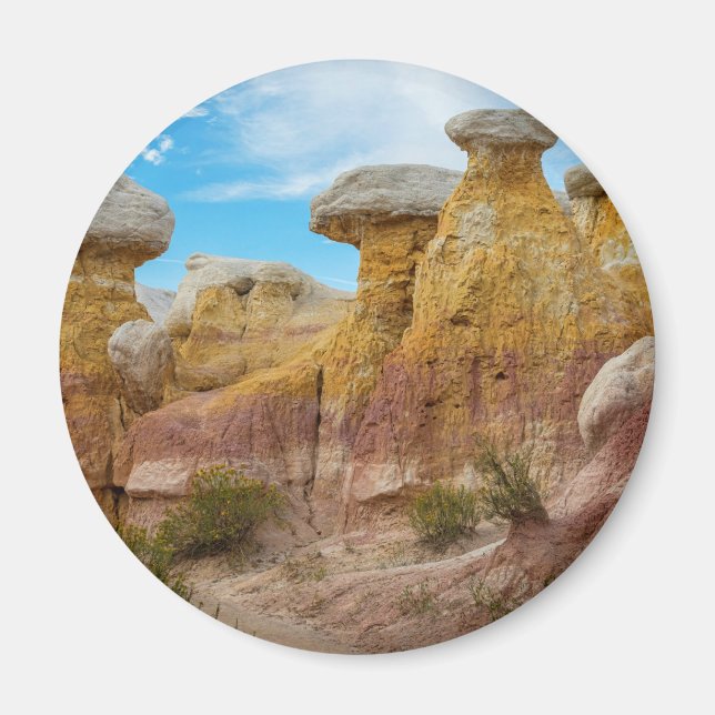 Colorado Paint Mines Formations Magnet (Front)