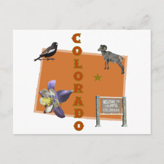 Colorado Postcard