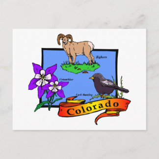 Colorado Postcard