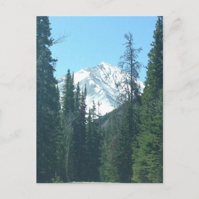 COLORADO POSTCARD (Front)