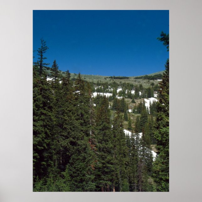 Colorado Poster (Front)