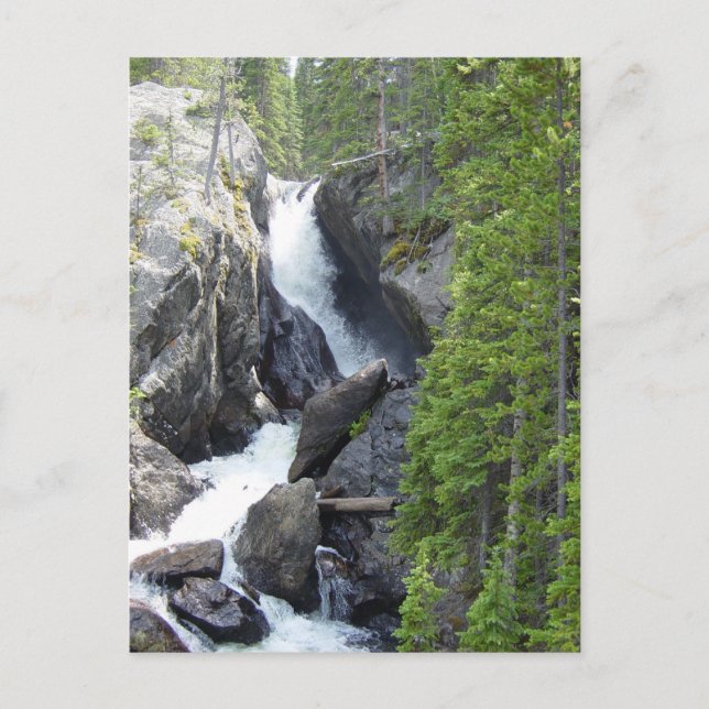 Colorado Rawah Falls Postcard (Front)