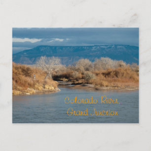 Colorado River,Grand Junction Postcard