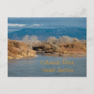 Colorado River,Grand Junction Postcard