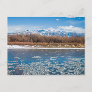 Colorado River in Winter Postcard