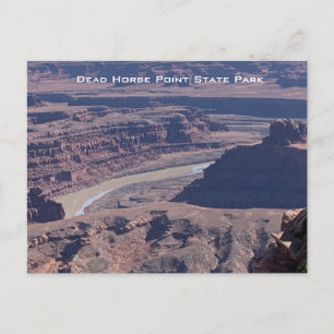 Colorado River Postcard