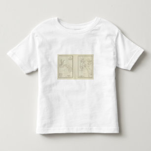 Colorado River Toddler T-Shirt