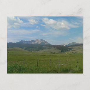 Colorado Rockies Postcard