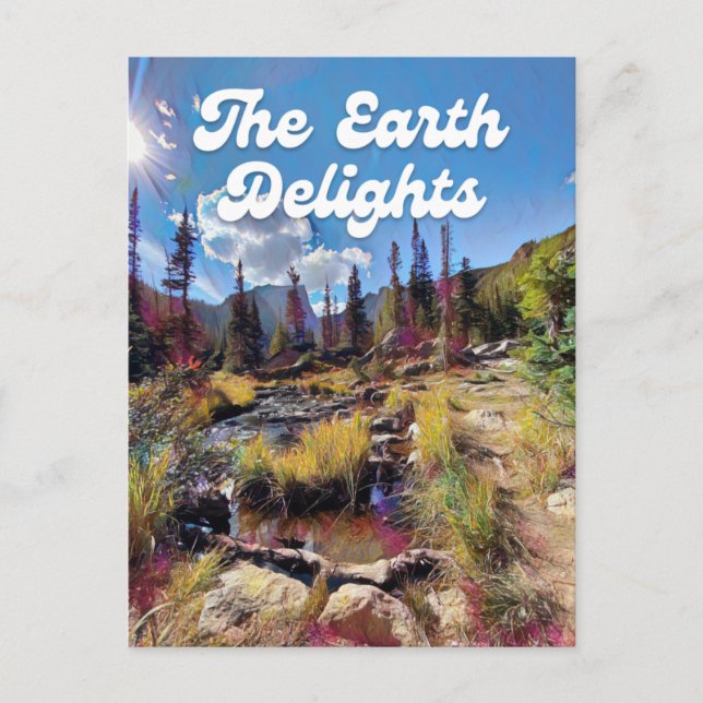 Colorado Rocky Mountain Creek Postcard (Front)