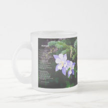 Colorado Rocky Mountains 10 oz Frosted Glass Mug
