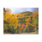Colorado Rocky Mountains Aspen Trees Fall Foliage