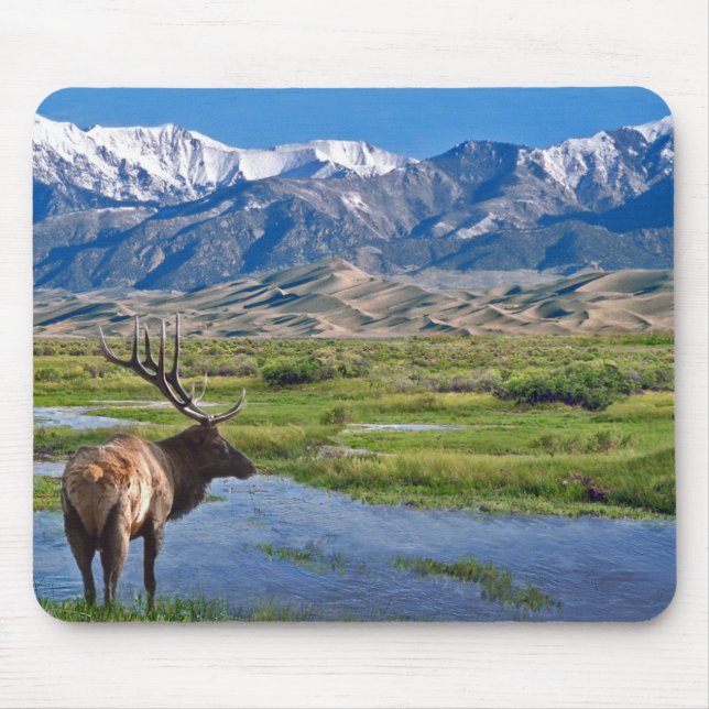 Colorado Rocky Mountains Elk Mouse Mat (Front)