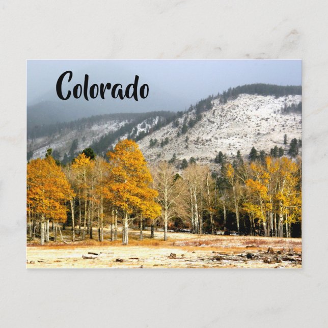 Colorado Rocky Mountains Postcard (Front)