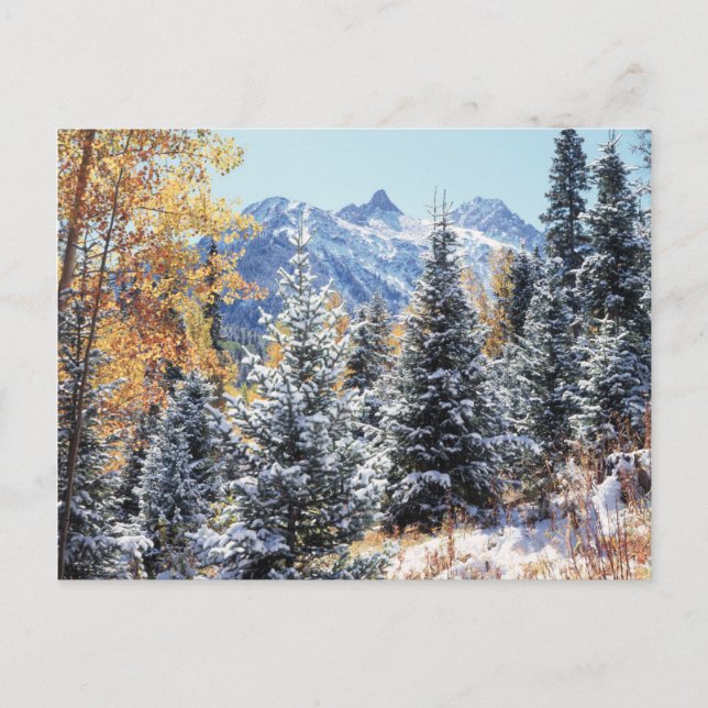 Colorado, San Juan Mountains, First snow Postcard (Front)