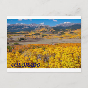 Colorado Scenic Foliage Postcard