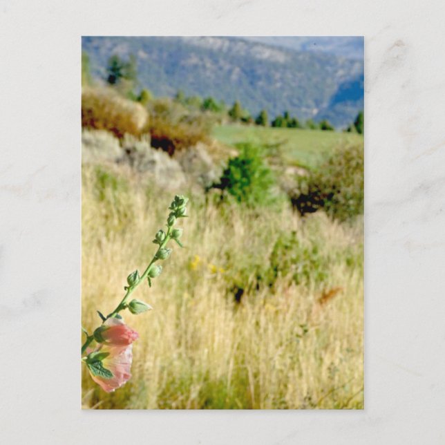 Colorado September Postcard (Front)