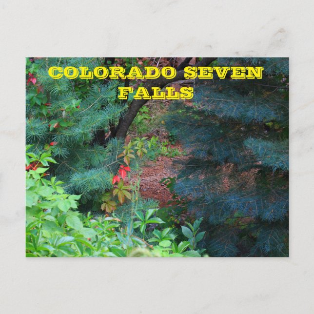 Colorado Seven Falls with trees POST CARD (Front)
