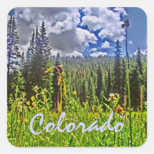 Colorado spring sticker
