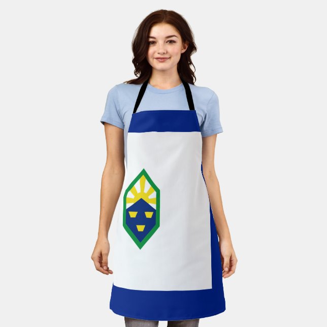 Colorado Springs City flag Apron (Worn)