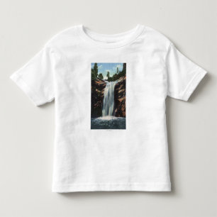 Colorado Springs, CO - Bridal Veil Falls Toddler T-Shirt