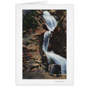 Colorado Springs, CO - Lower Three of Seven Fall