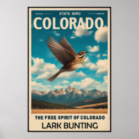 Colorado State Bird - Lark Bunting Vintage